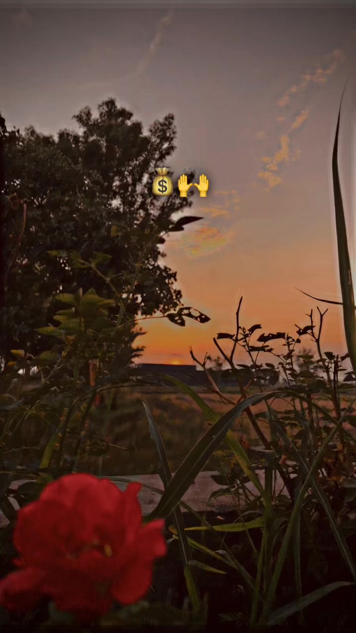 @پنڈا والے  راجپوت☘️☘️ظفر وال🤗