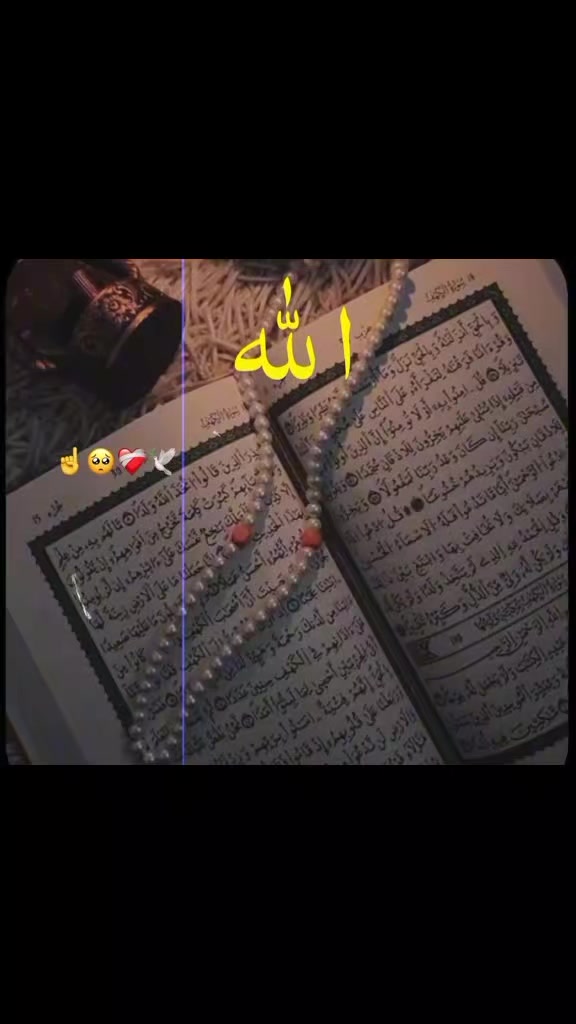 @Umar 🇸🇦