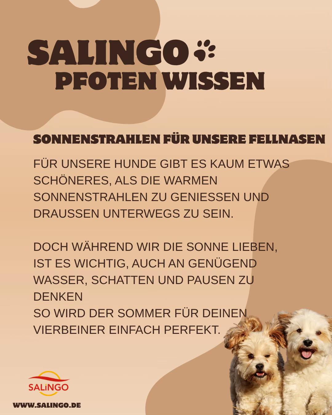 @SALiNGO