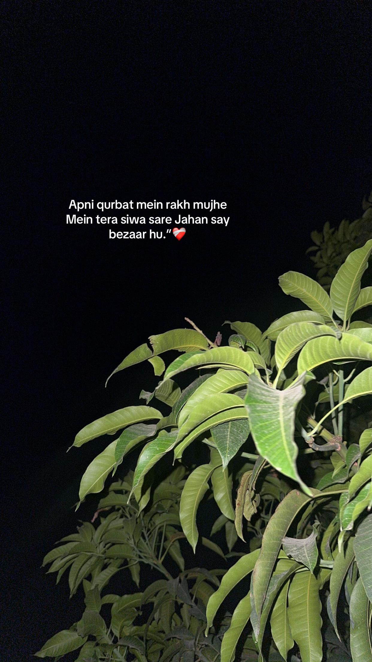 @𝗙𝗔𝗗𝟯𝗗.𝗦𝗫𝗕_