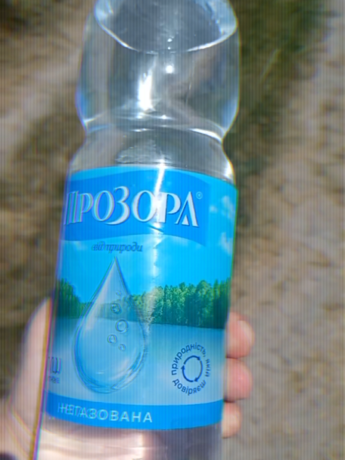 @Анастасия Арабаджи