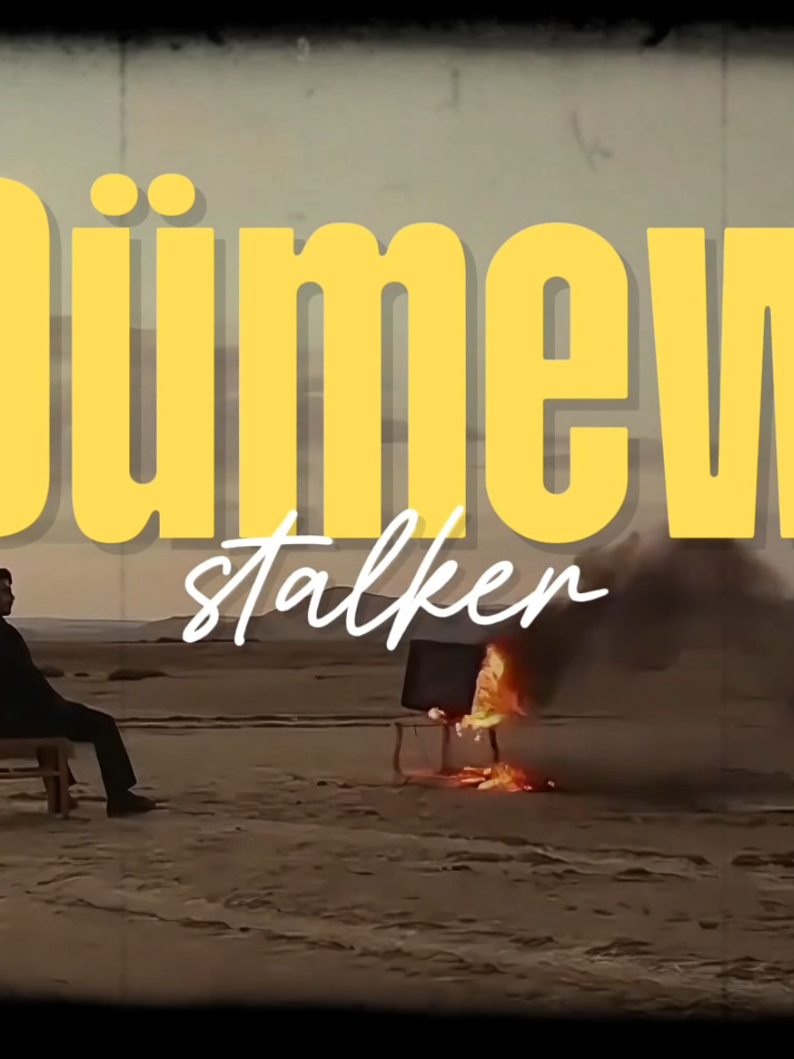 @Stalker Man