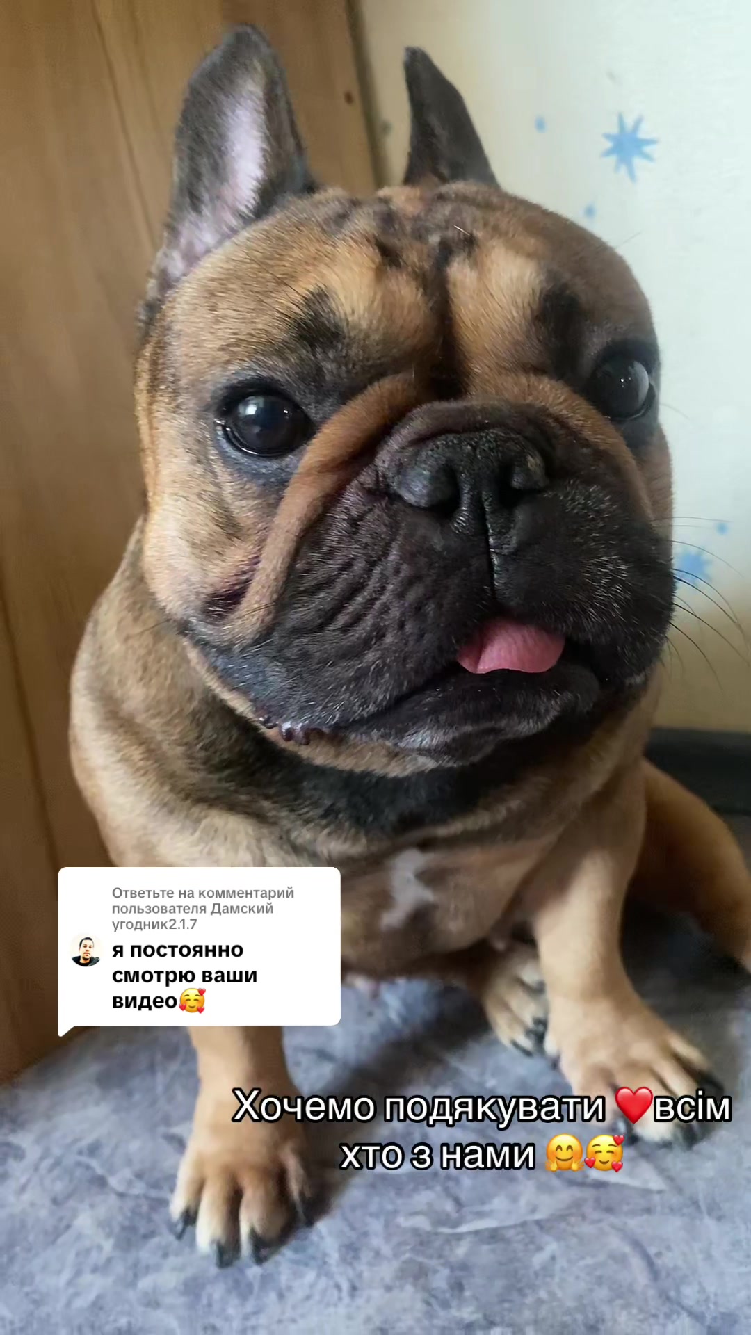 @_holly_bulls_