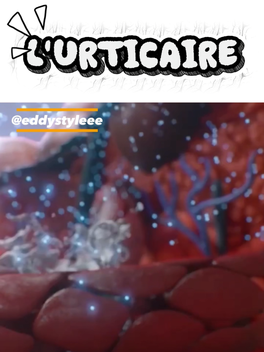 @Docteur Shepherd