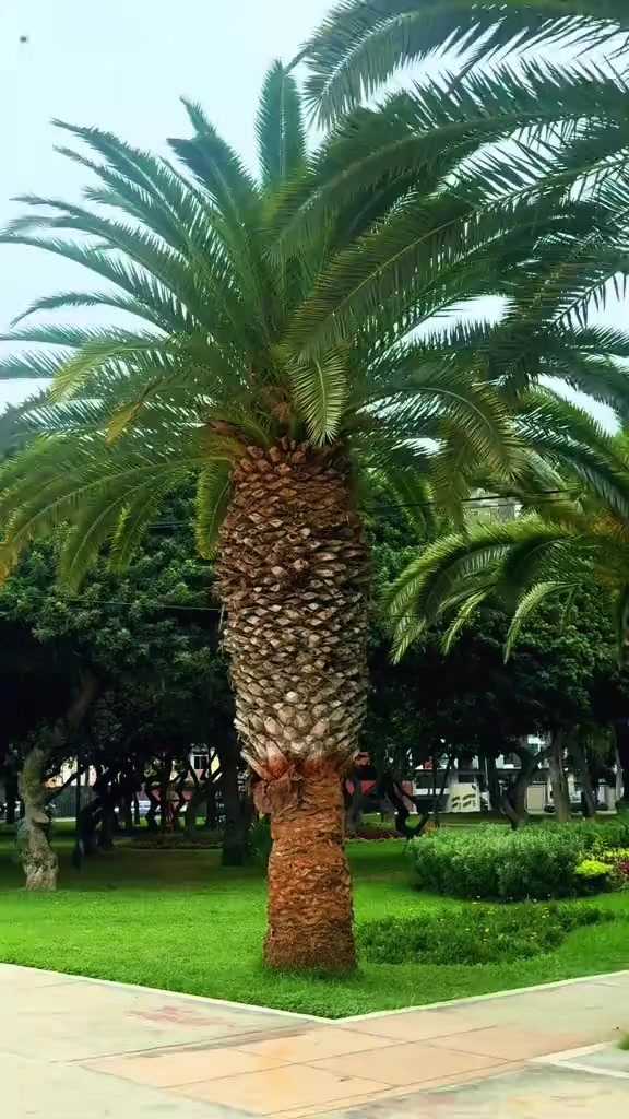 @Euclides Tarazona