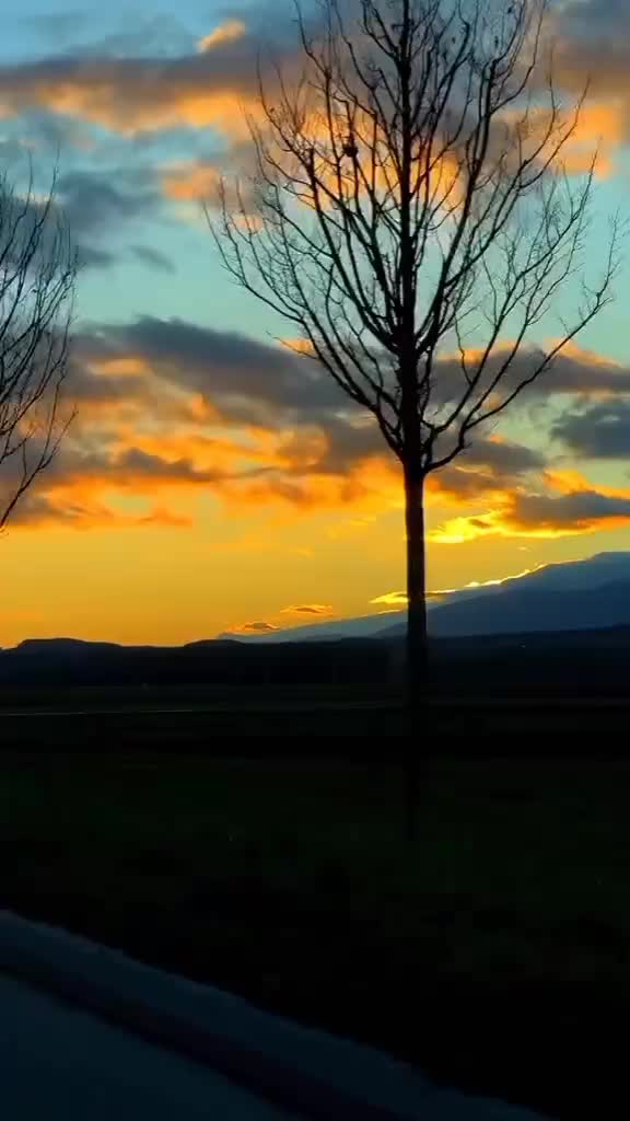 @G&uuml;l&uuml;mse (✿◠‿◠✿)