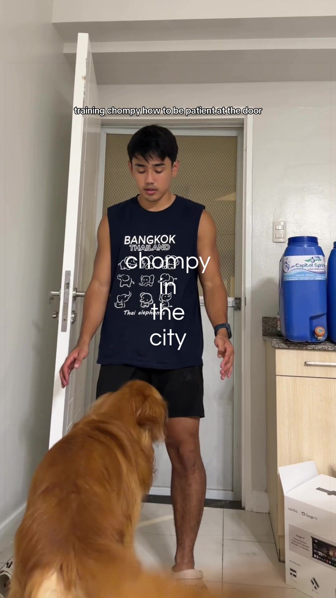 @Chompz