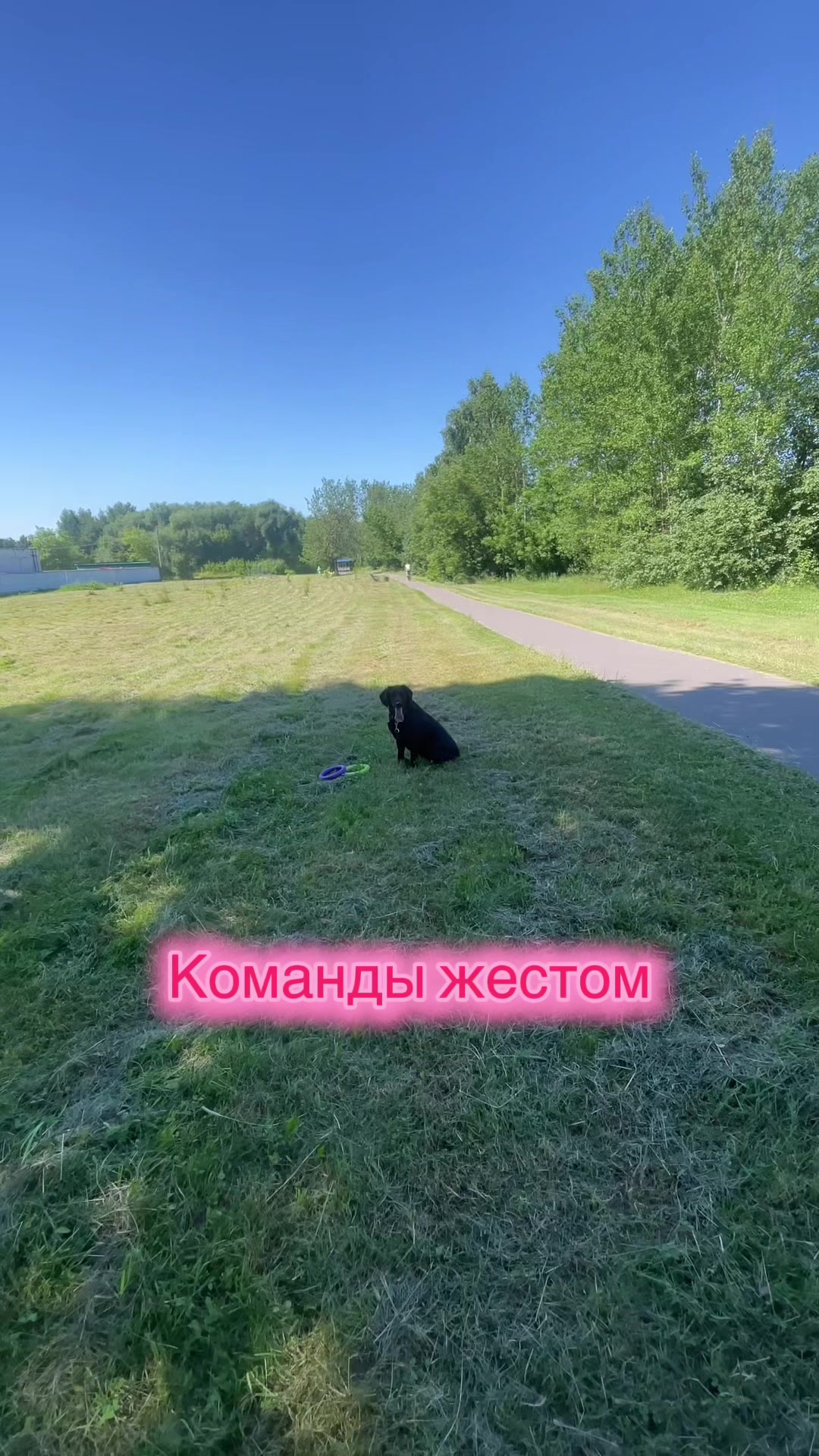 @Зооняня👉Алёна Ващенко