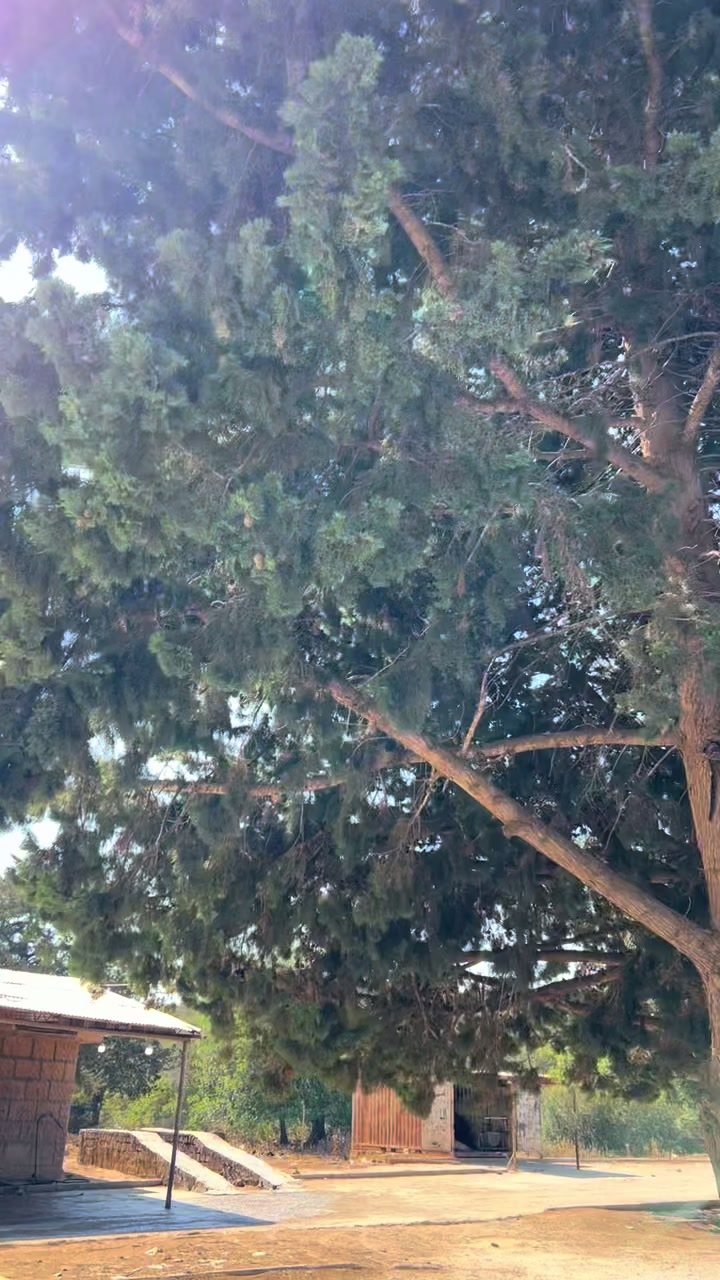 @𝓢𝓪𝓫𝓻𝓮𝓷 𝓐𝓵-𝓑𝓪𝓻𝓪𝓼𝓲