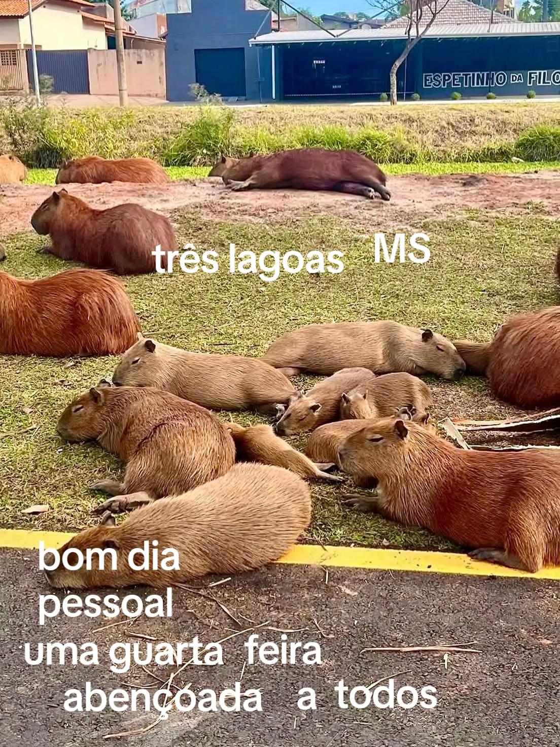 @Maria F&eacute;lix
