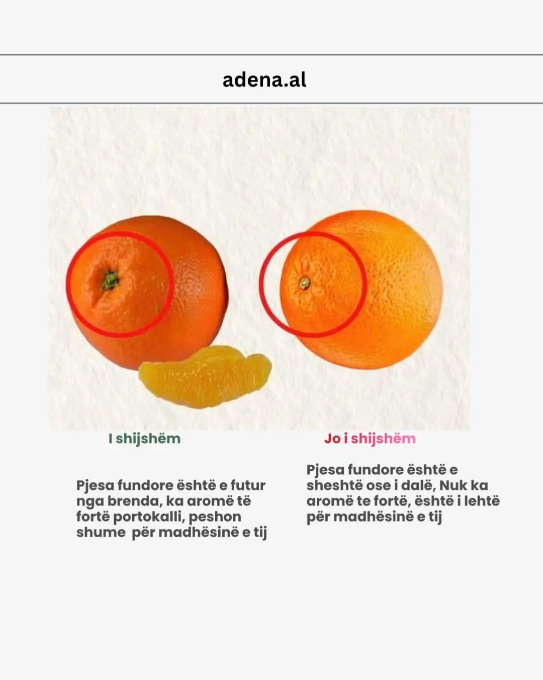 @adena.al