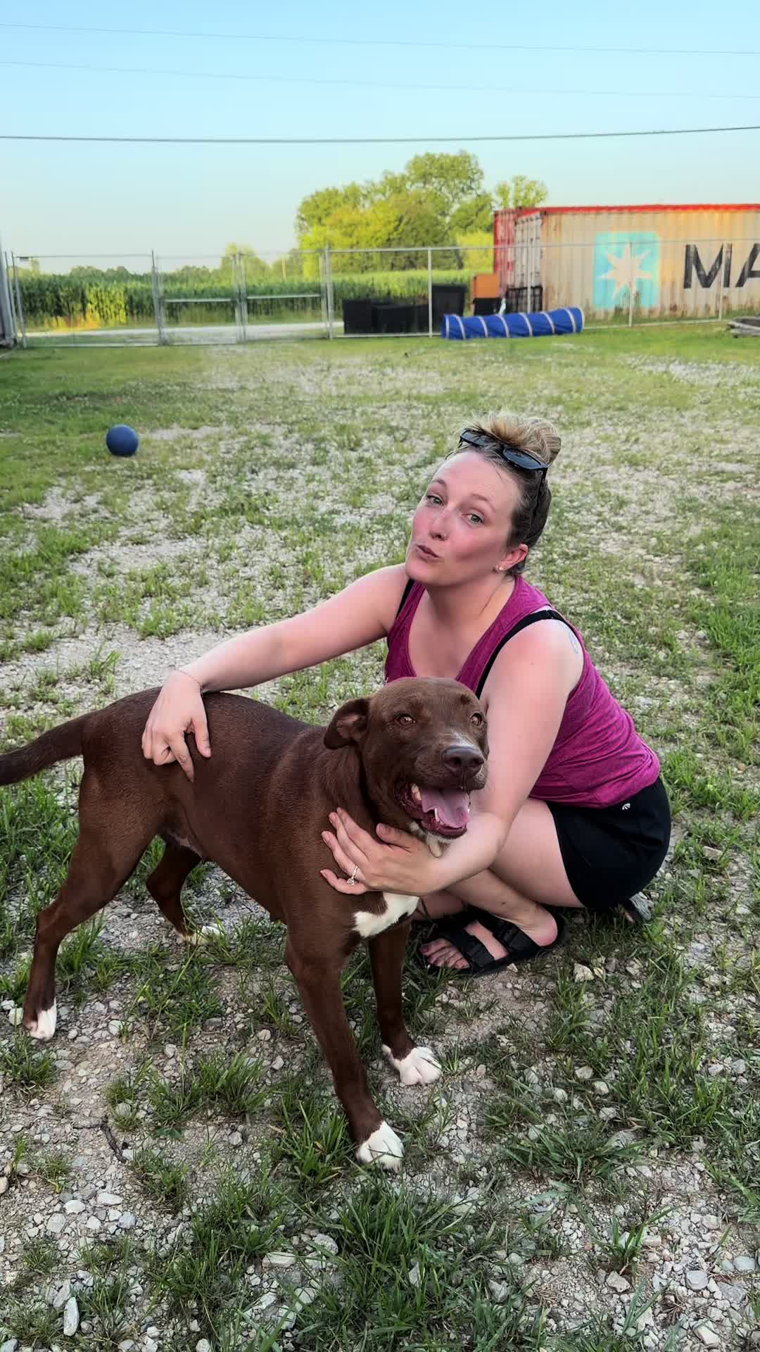 @Happy Tails Animal Rescue