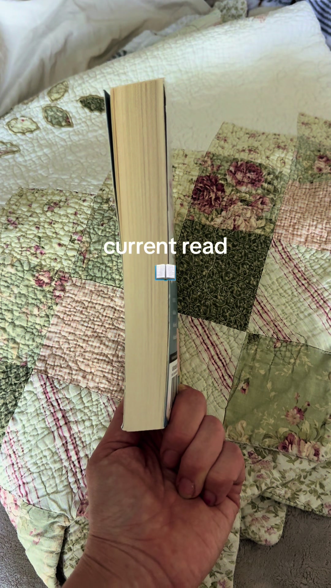 @Mary| The Velvet Journal