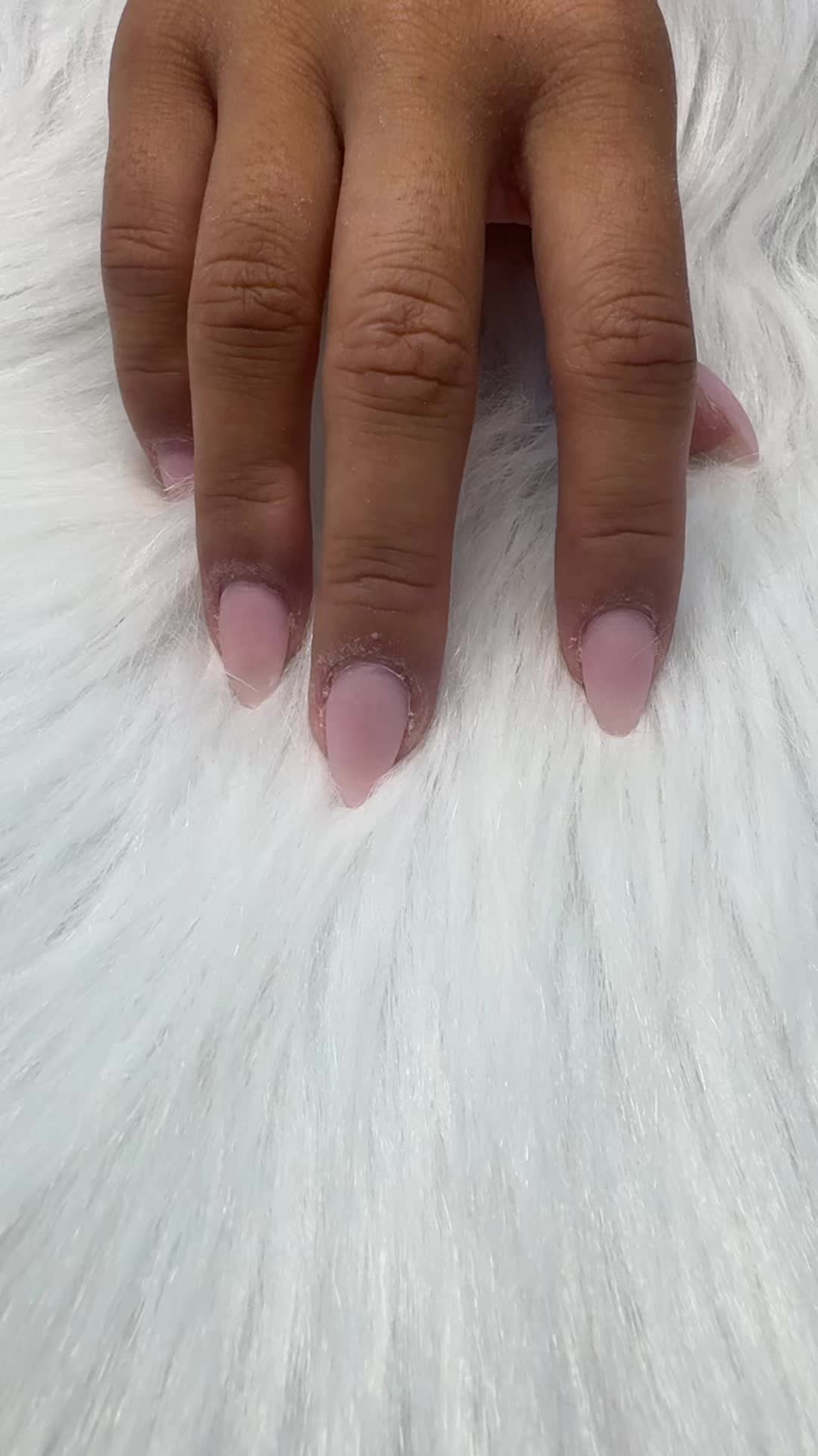 @lauralamoreaux