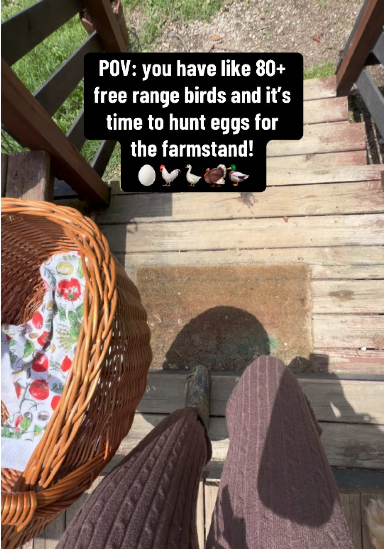 @Haley The Homesteader