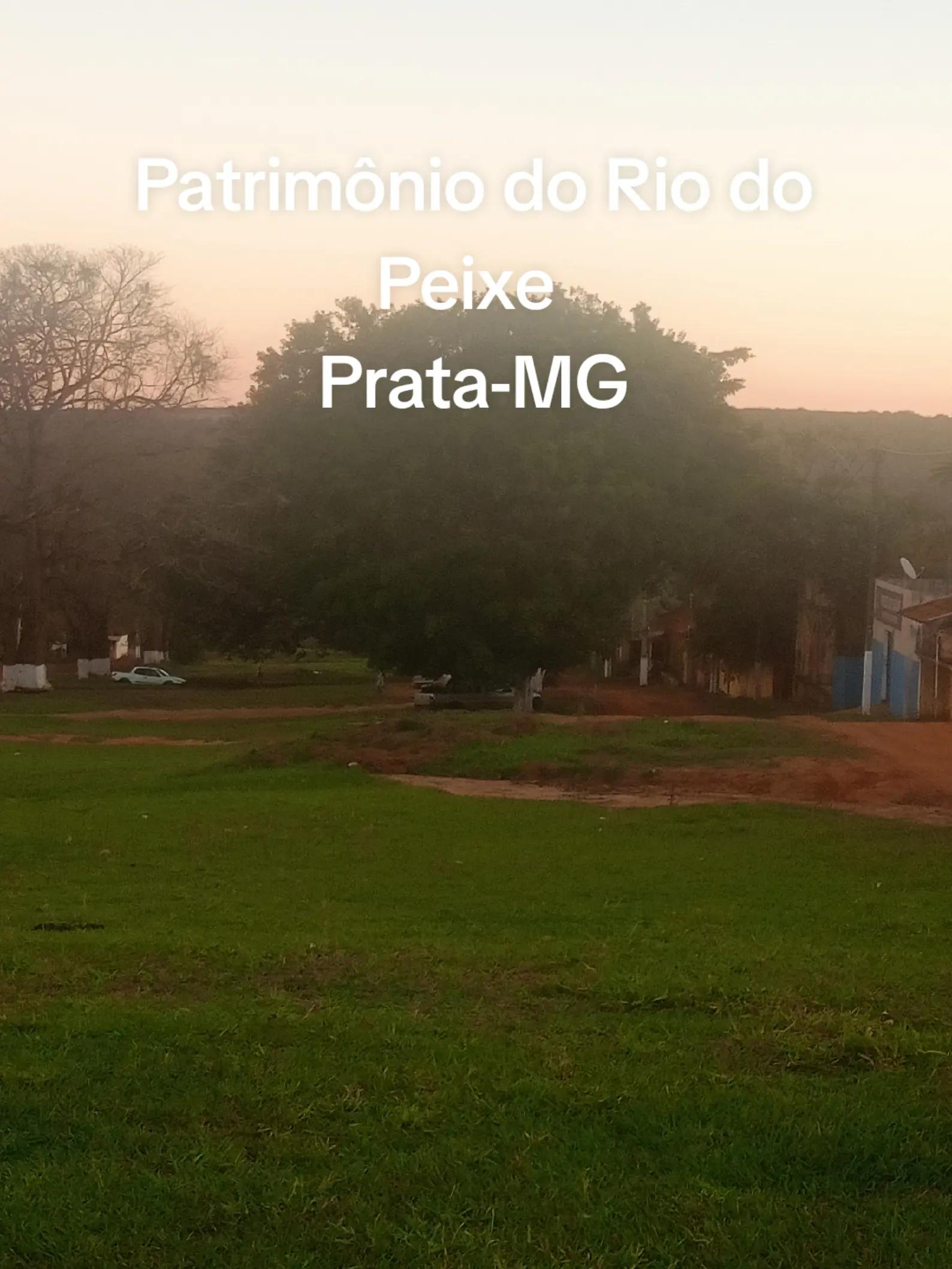 @Adriana Aparecida Si