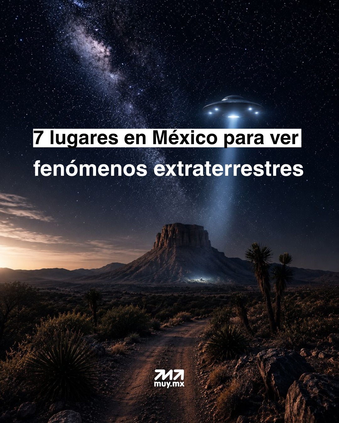 @Mucho Muy.Mx