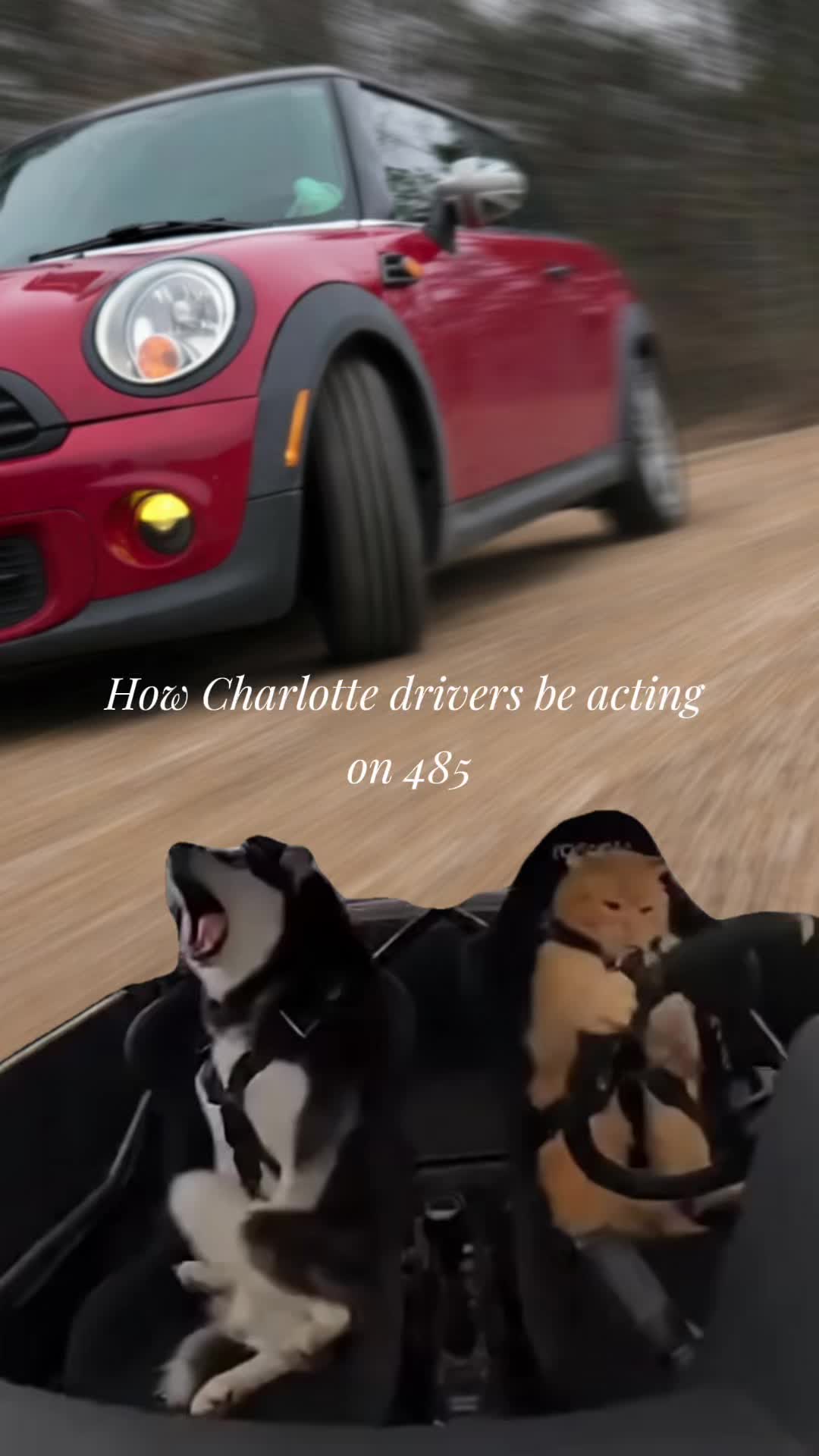 @MJ