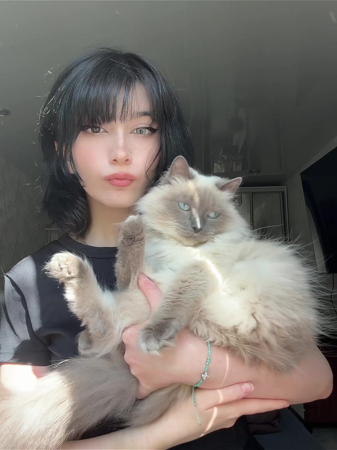 @akiqkk