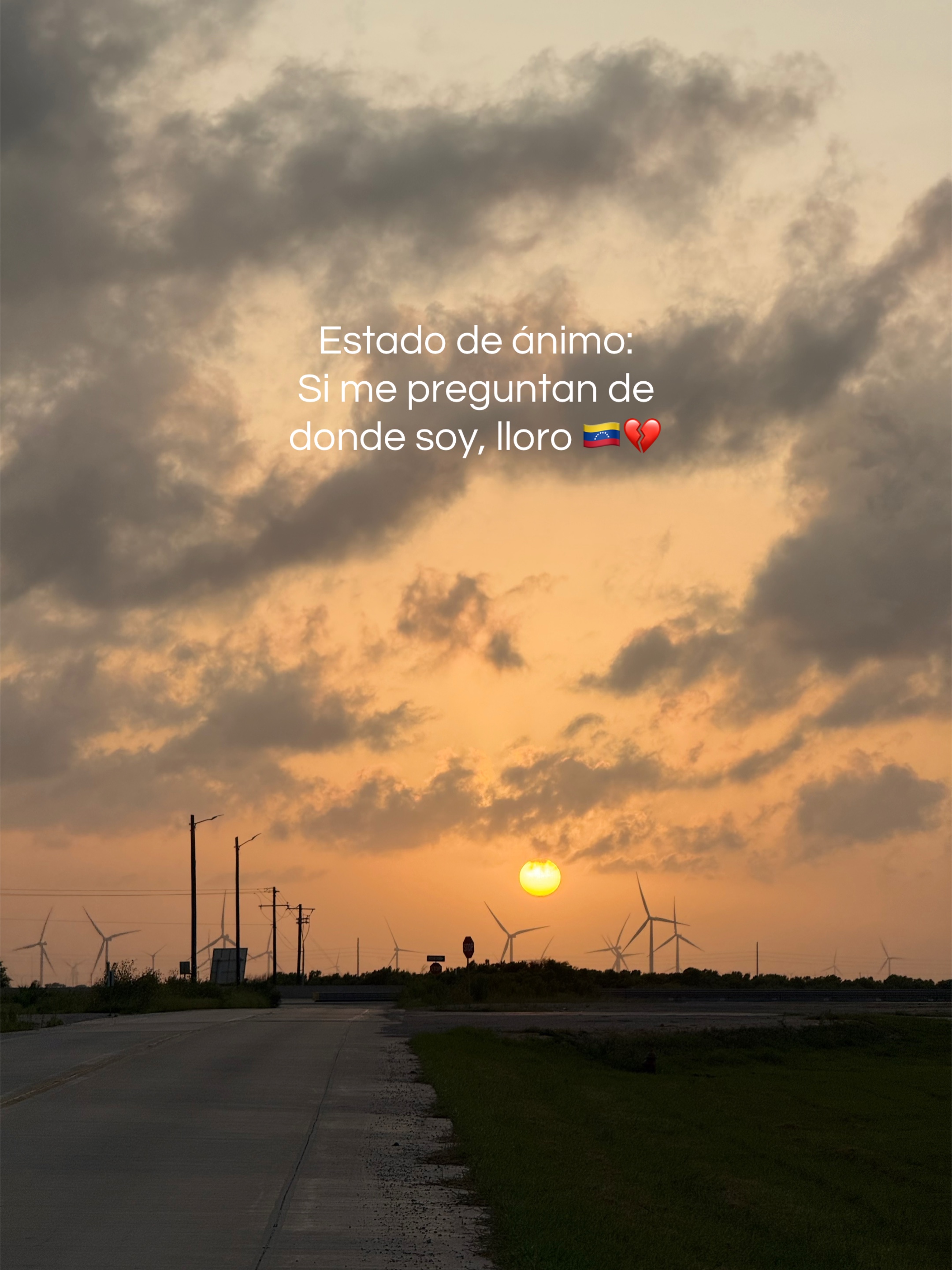 @Lucy Hernández🐞🦋