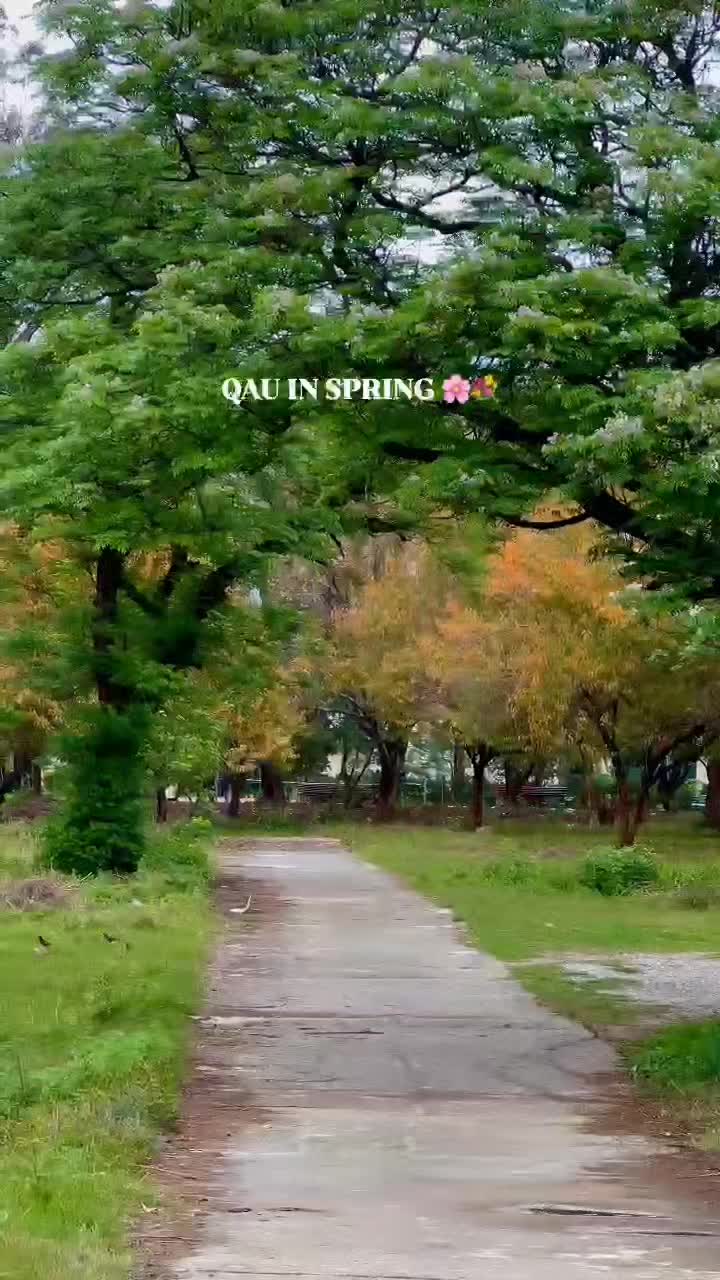 @Xnayat Khan