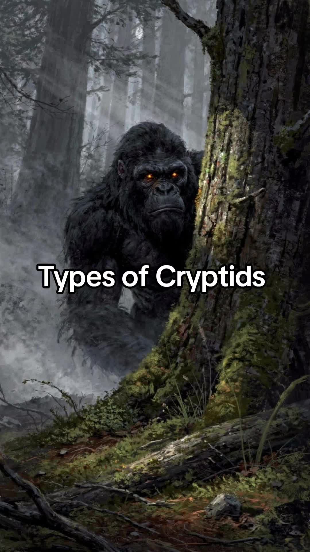 @FollowTheCrowsTV