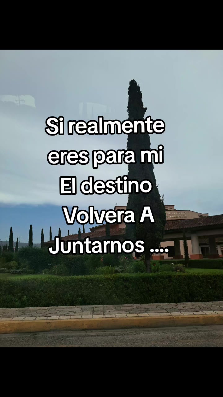 @Paola Lp