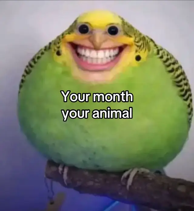 @secretlifeofsomeone