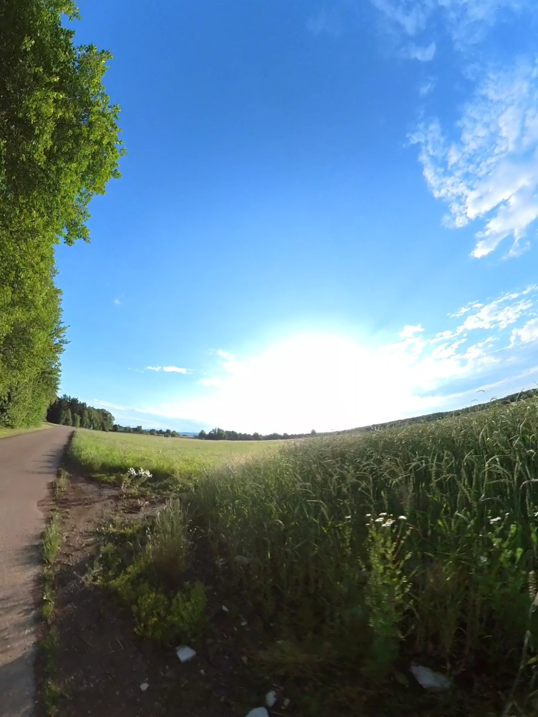 @franziskus.fpv