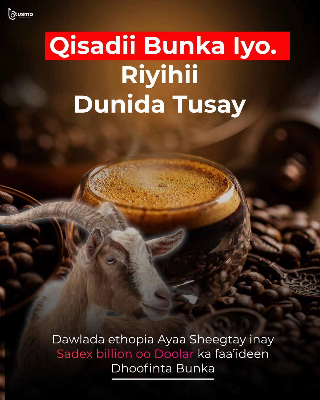 @Tusmo Media