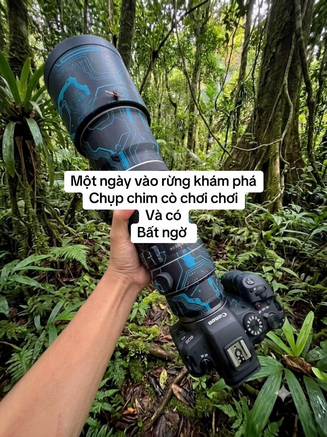 @C&C Miền Núi ⛰️