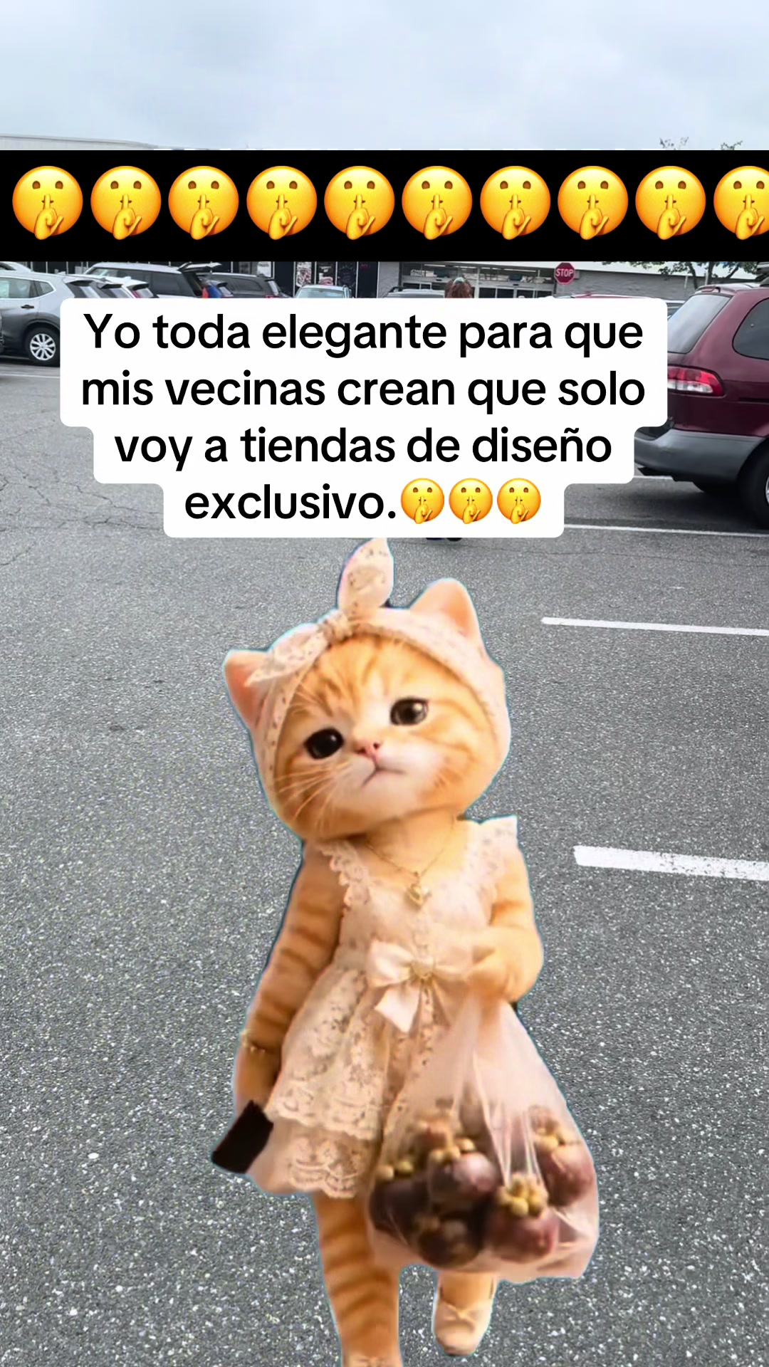 @Carmen Martinez