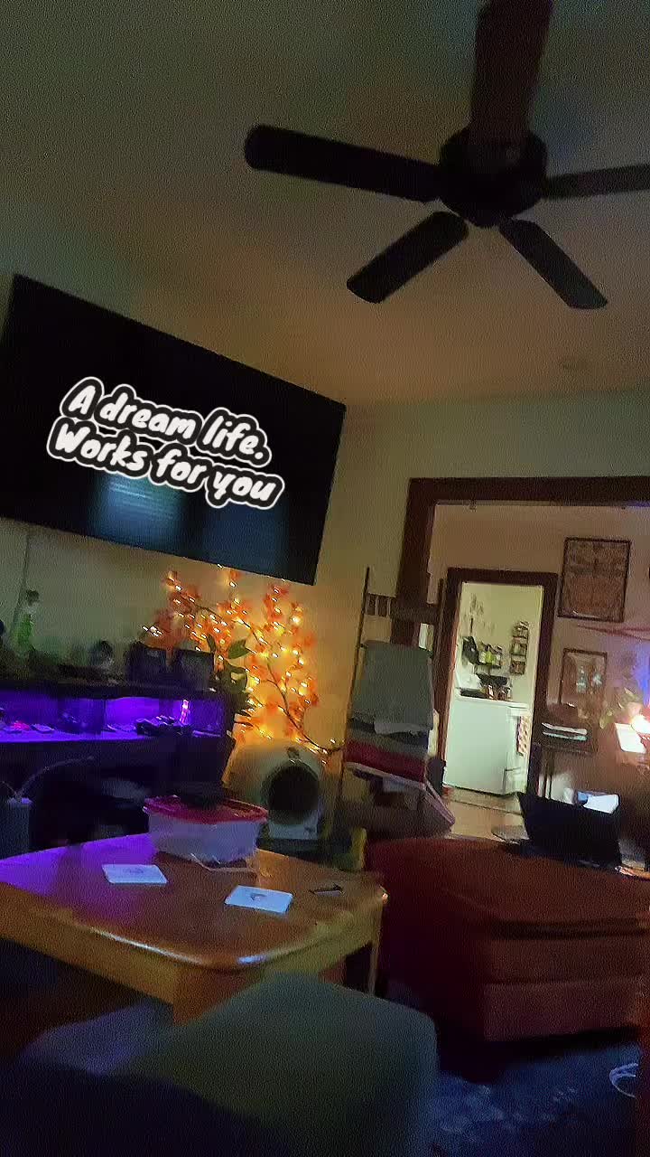 @Ace Mirrorman