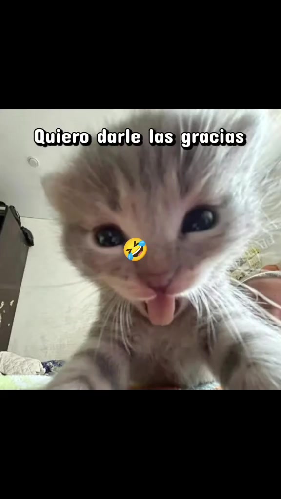 @@alexmejia