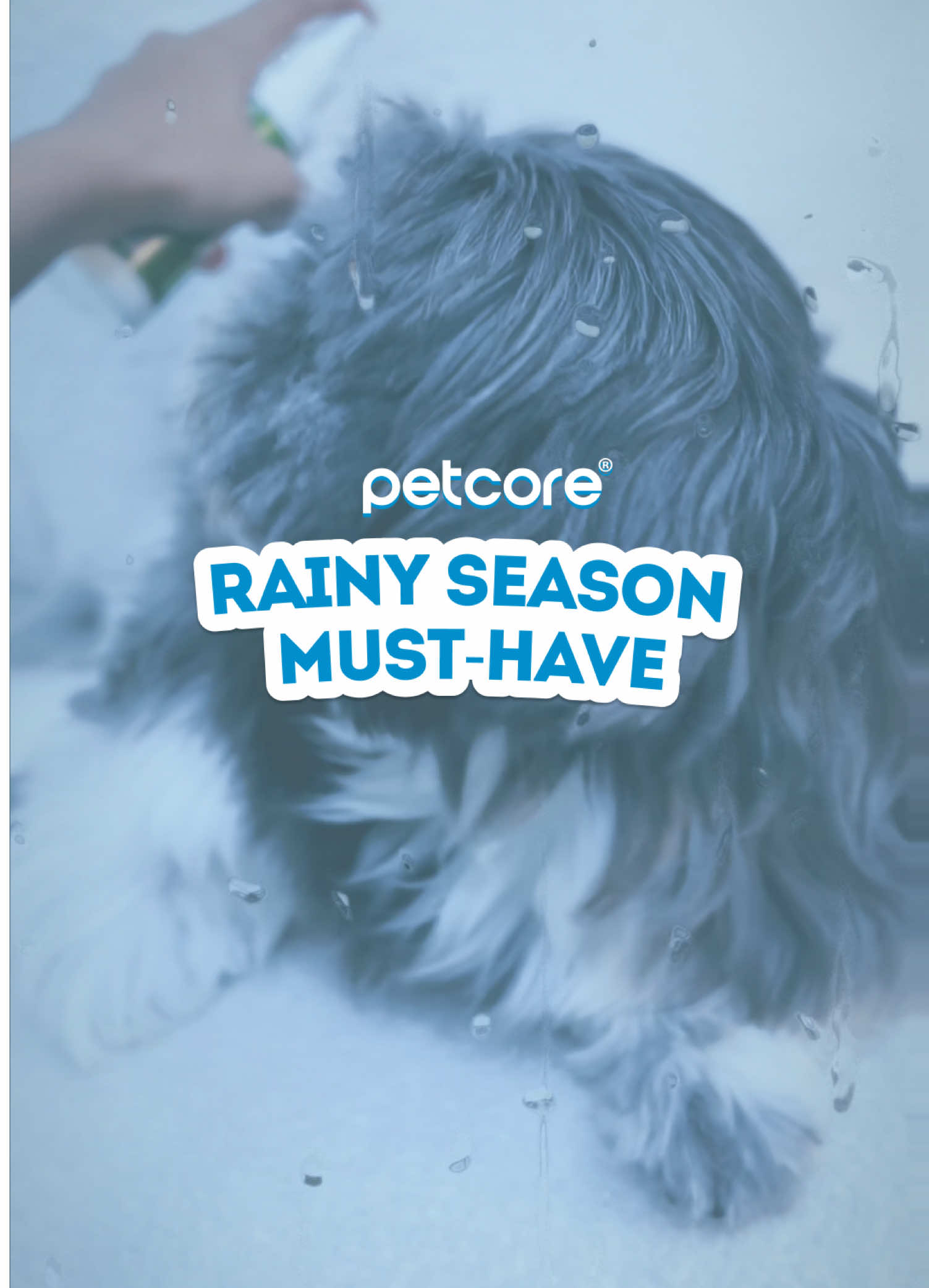 @Petcoreph
