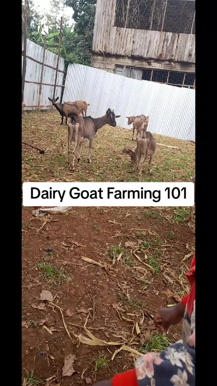 @Sam Kariuki