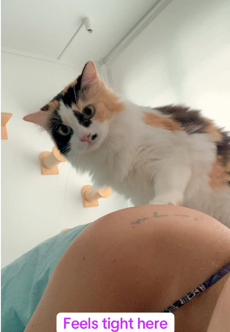 @OnePurrCuddle