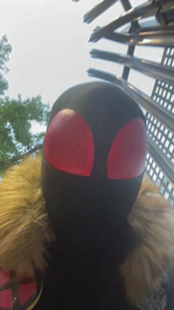 @Wolf-Spider