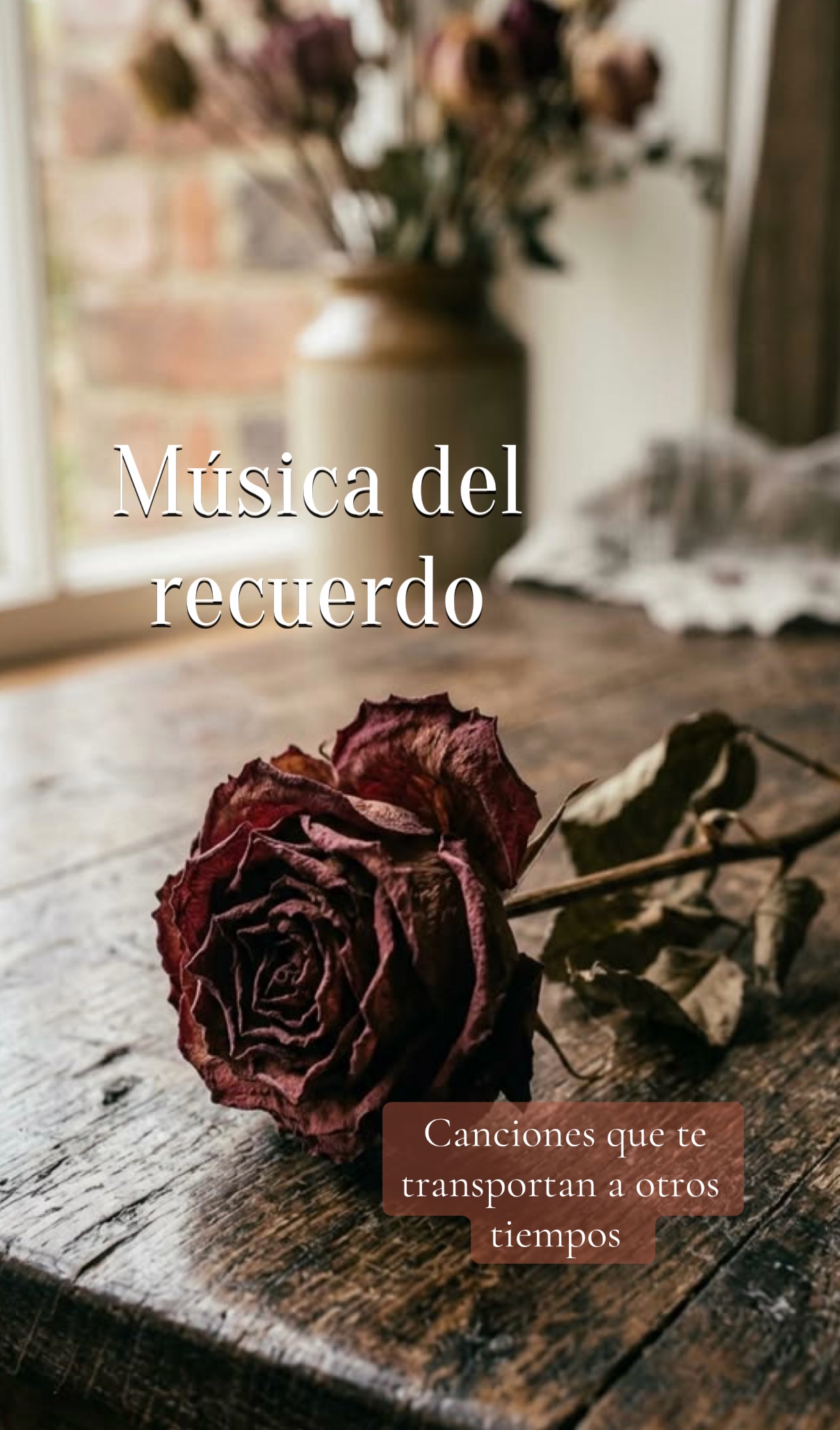 @susanamartinez1634