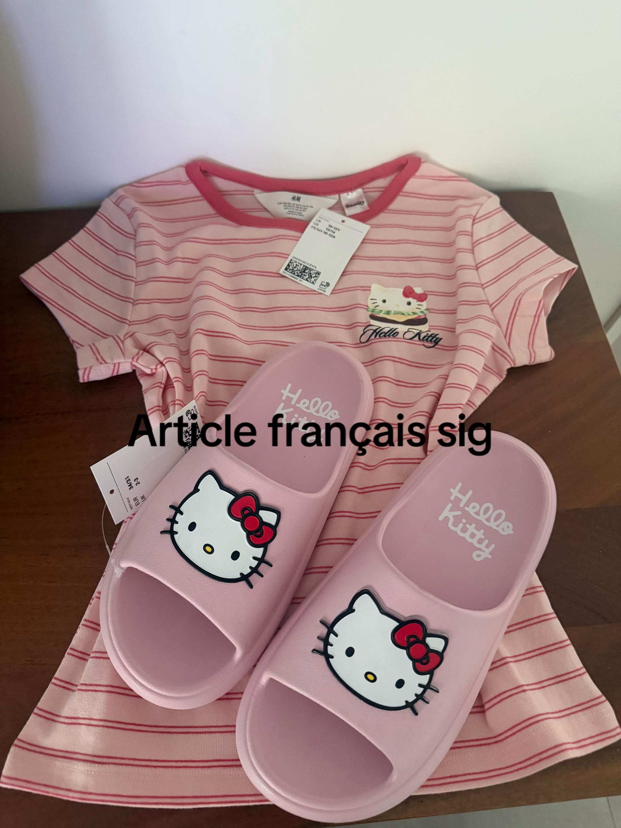 @Article fran&ccedil;ais sig