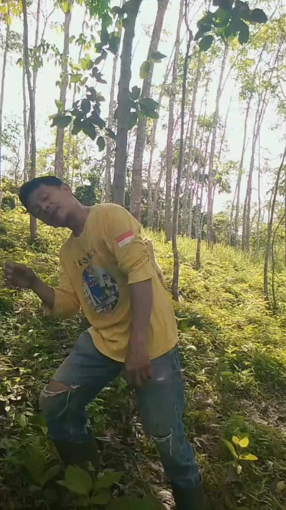 @Arif B1450ajo