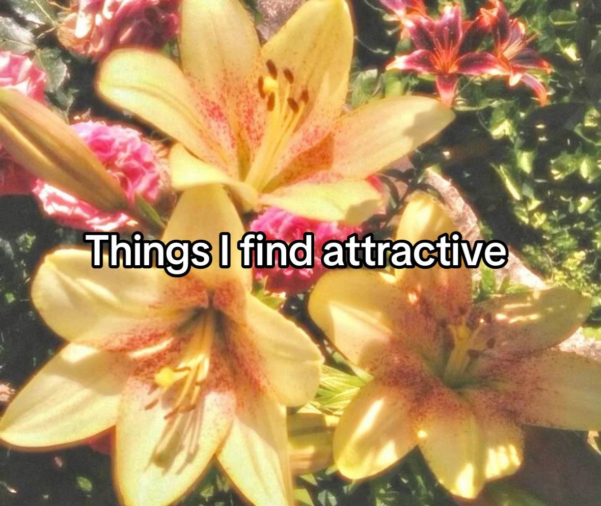 @Sagmoonluvme