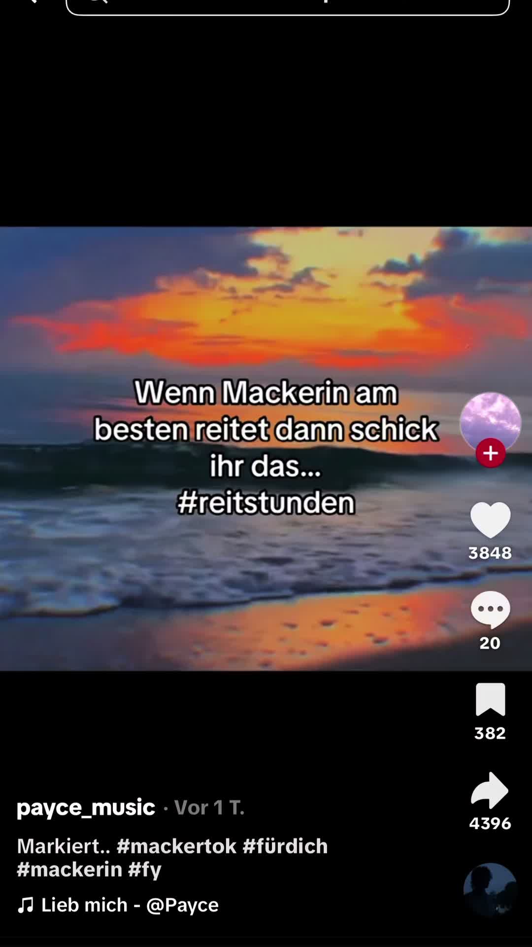 @s51.d4rek