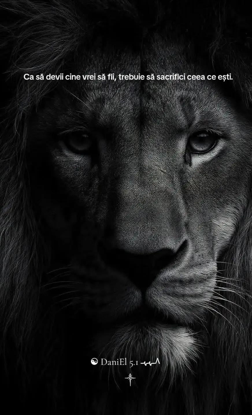 @☯ DaniEl 5.1 ٨ـﮩﮩـ