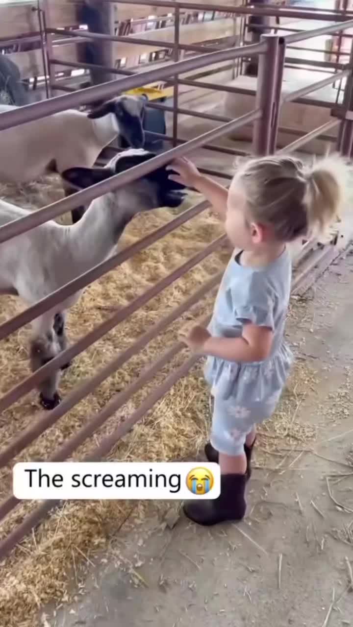 @Cute baby's 😍