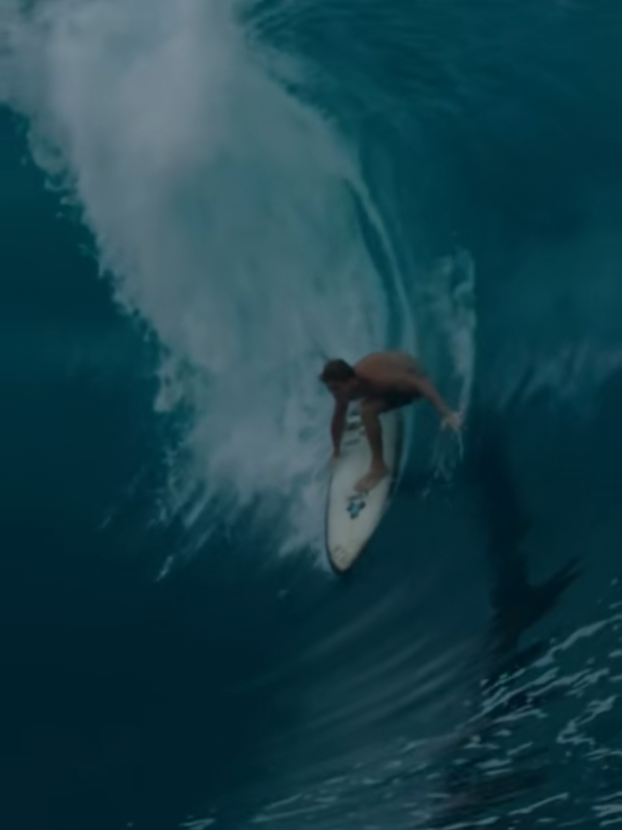 @Otua🪼surf