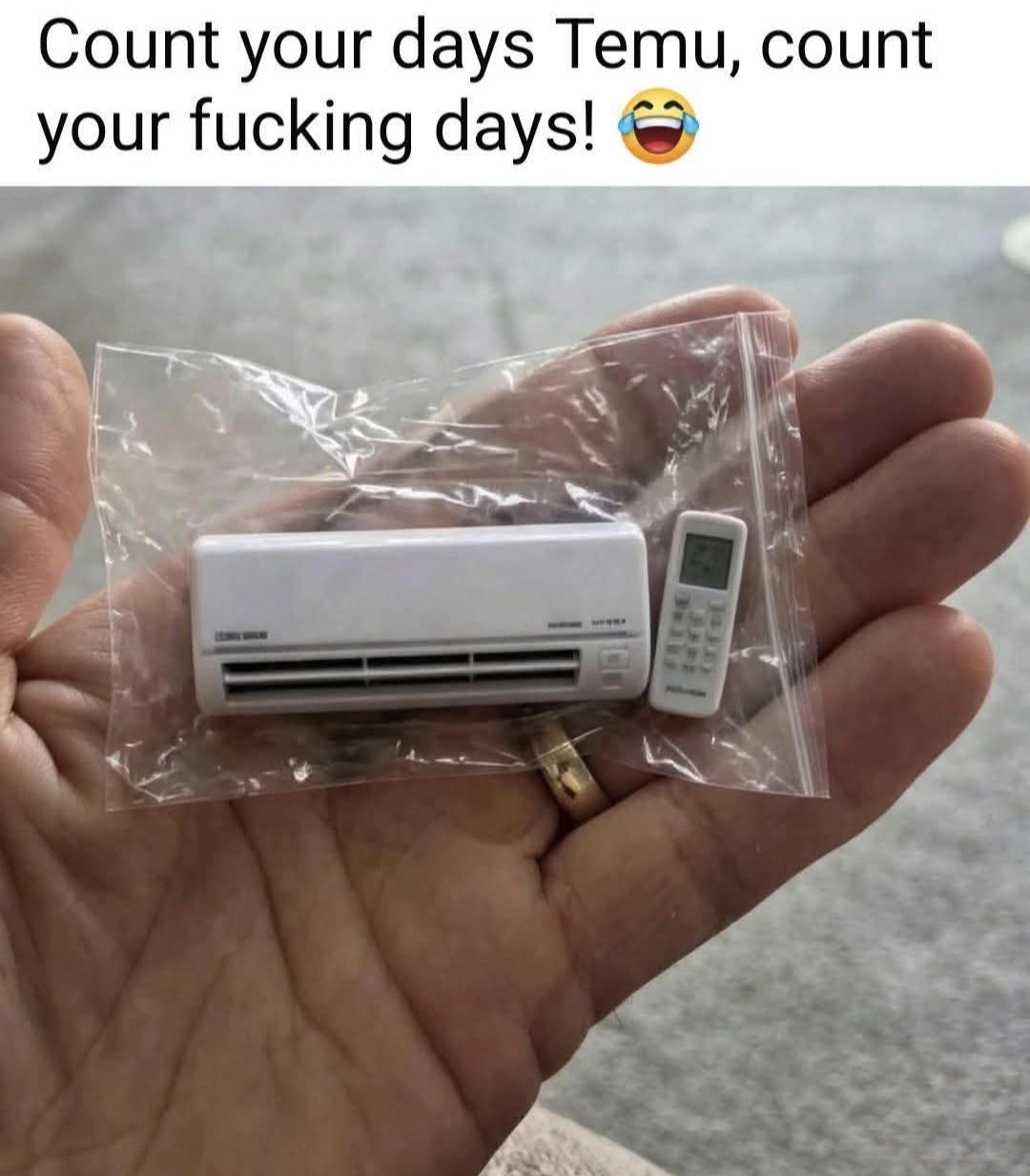 @Shannon Gray 🥓 🇺🇸 🥓