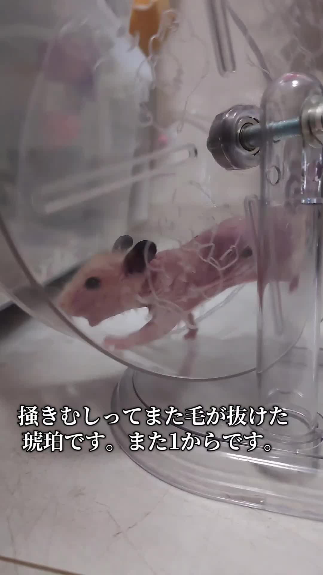 @ジン