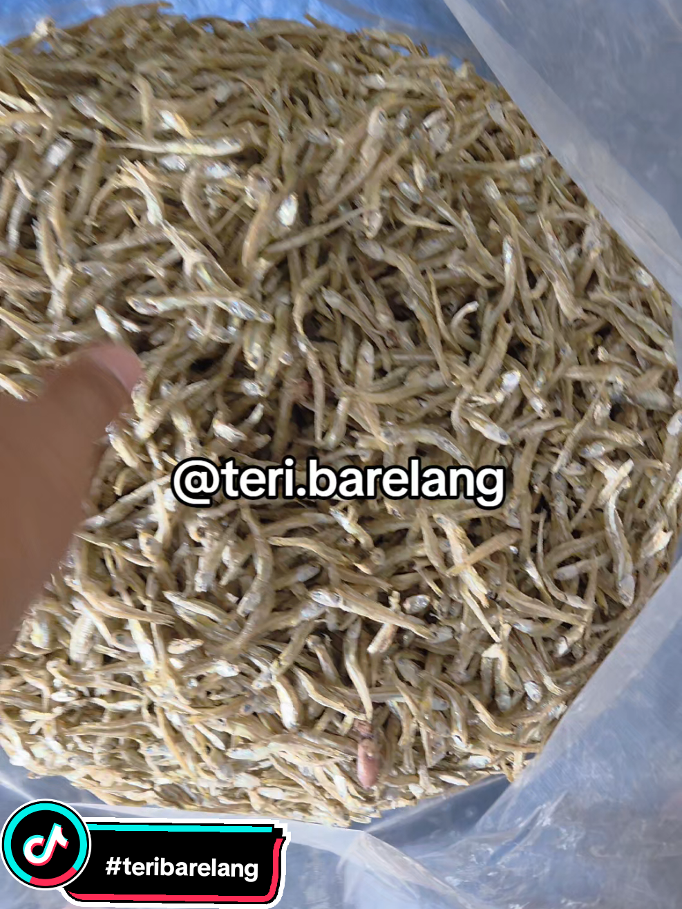 @Teri Barelang