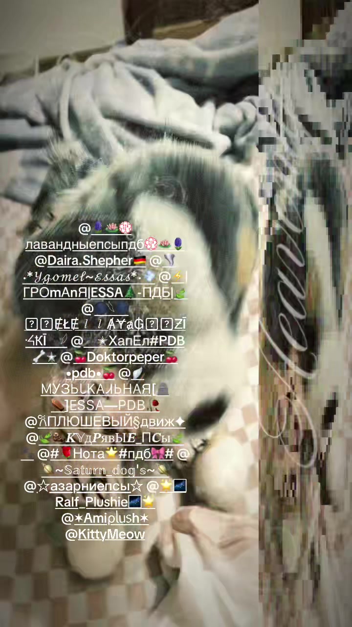 @༼БоЯчЕཞ ПСЫ♪ПДБ༄༕ESSA💲꯷&amp;